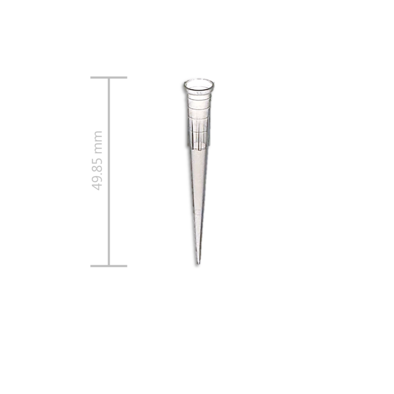 200 μL微量滴管尖